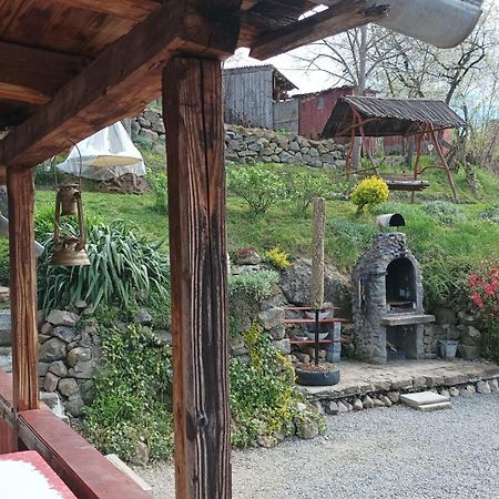 Meselak Villa Ocna de Sus Dış mekan fotoğraf