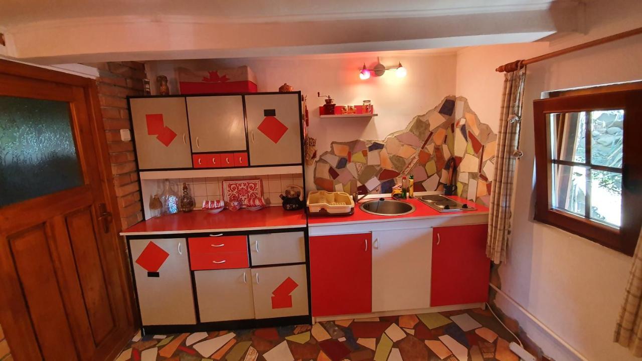 Meselak Villa Ocna de Sus Dış mekan fotoğraf