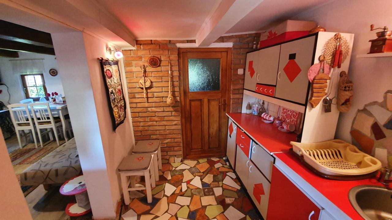 Meselak Villa Ocna de Sus Dış mekan fotoğraf