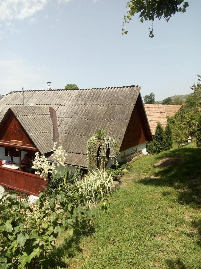 Meselak Villa Ocna de Sus Dış mekan fotoğraf