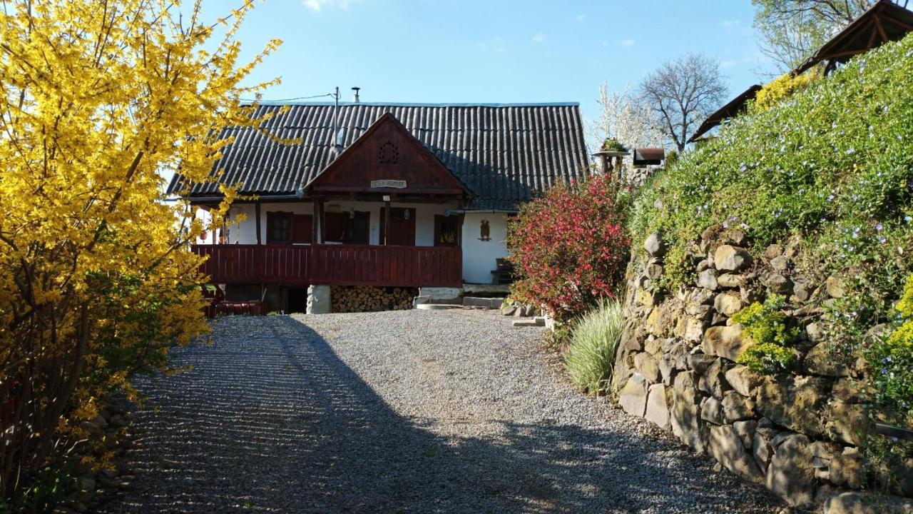 Meselak Villa Ocna de Sus Dış mekan fotoğraf