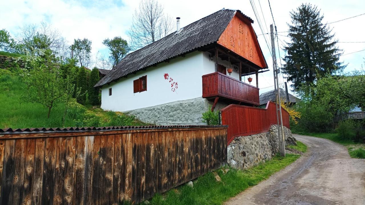 Meselak Villa Ocna de Sus Dış mekan fotoğraf